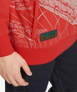 Puma Mercedes F1 Statement Men's Hoodie 9 Puma Mercedes F1 Statement Men's Hoodie -puma-sale Mercedes F1 Statement Mens Hoodie 3