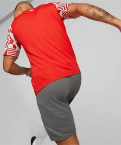 Puma Switzerland Soccer Men's Prematch Jersey 8 Puma Switzerland Soccer Men's Prematch Jersey -puma-sale Switzerland Soccer Mens Prematch Jersey 2