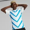Puma TeamLIGA Graphic Men's Jersey